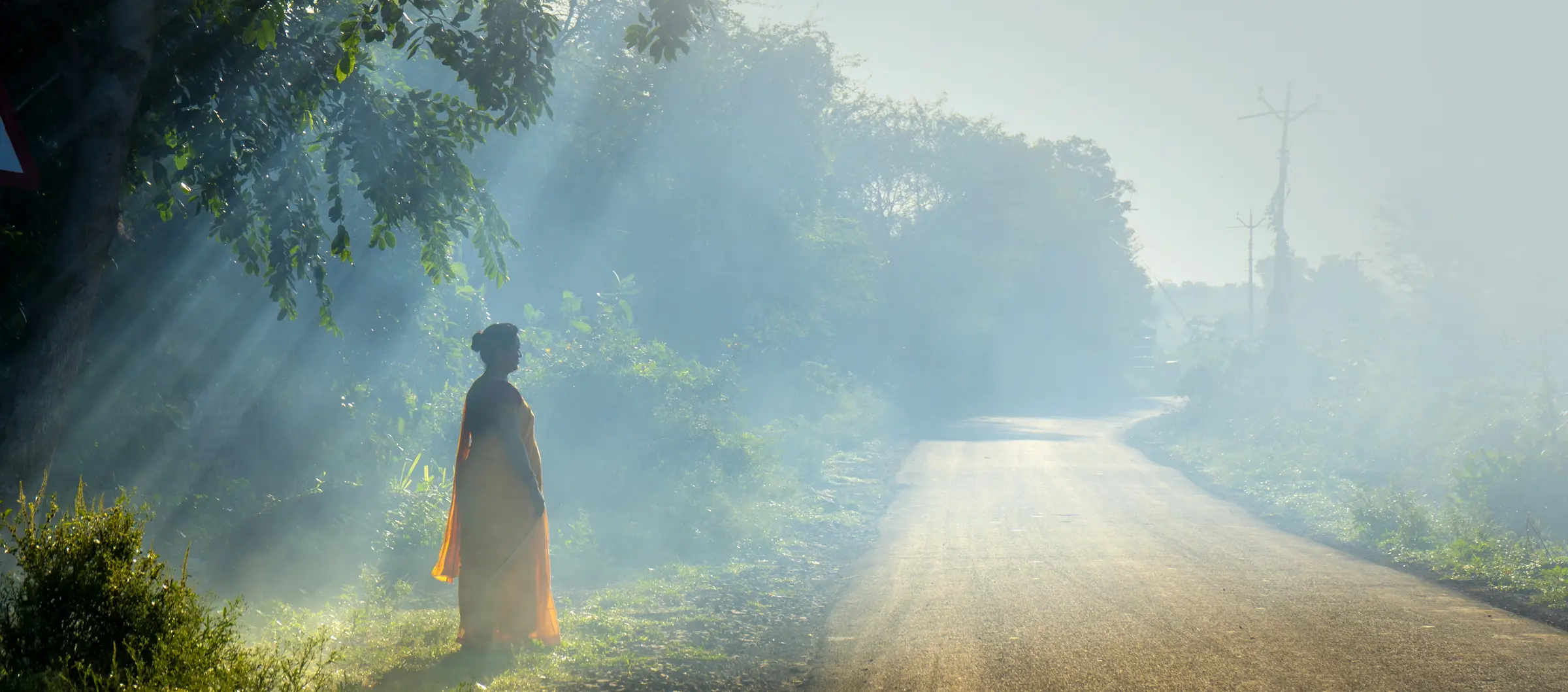 A figure in robes walks a forest road in the morning light